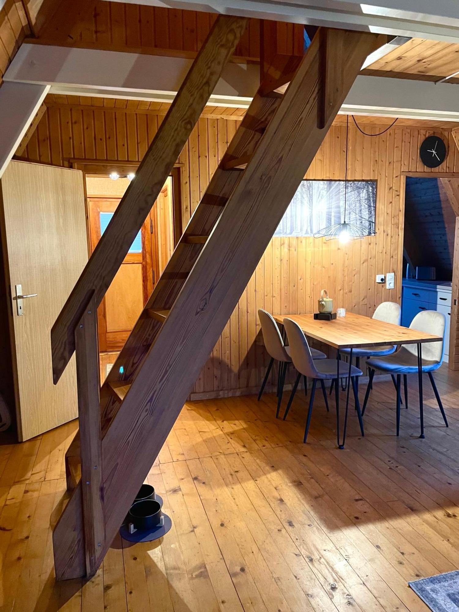Nur-Dach-Haus Am Alfsee Rieste المظهر الخارجي الصورة